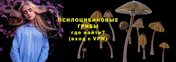 дмт Россошь