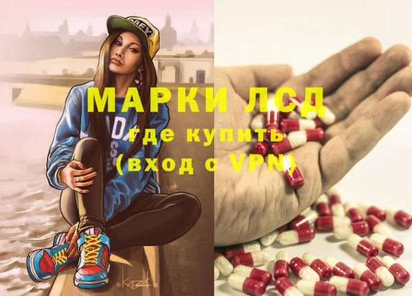 индика Арсеньев
