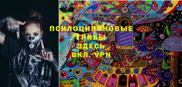 прущий лед Аркадак