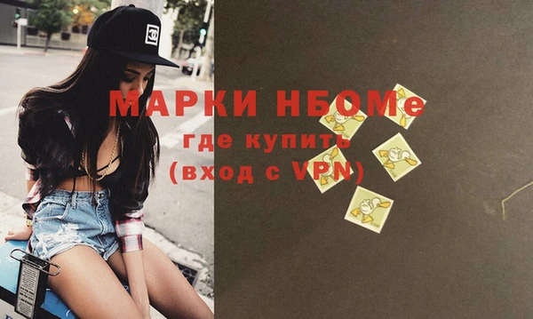 индика Арсеньев