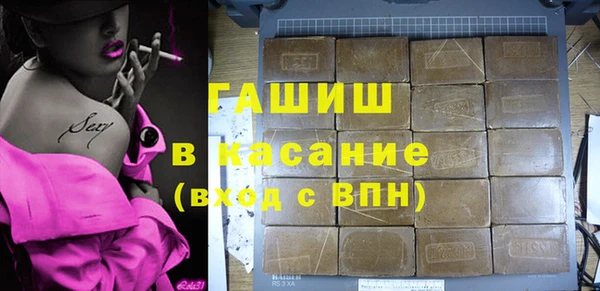 индика Арсеньев