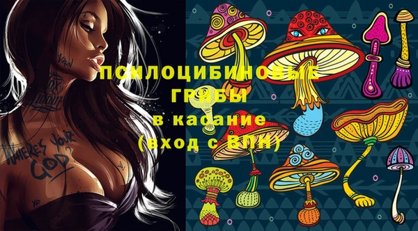 прущий лед Аркадак