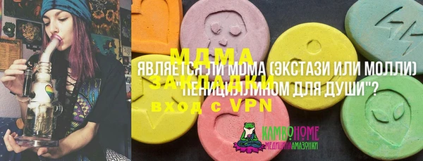 индика Арсеньев