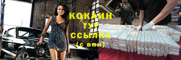 индика Арсеньев