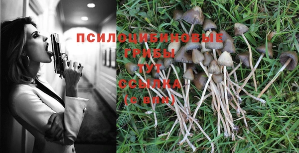 прущий лед Аркадак